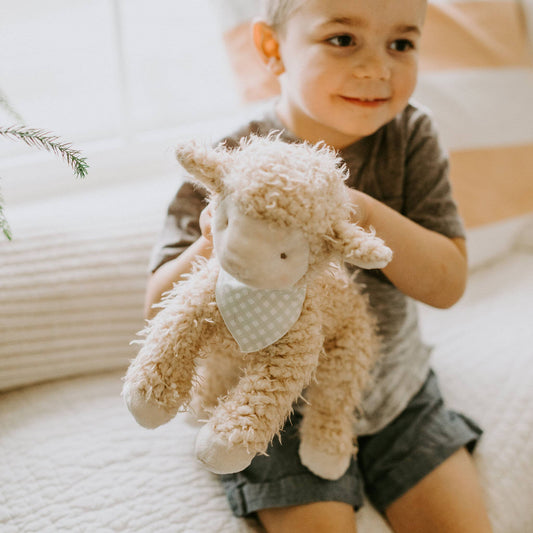 Shep the Sheep