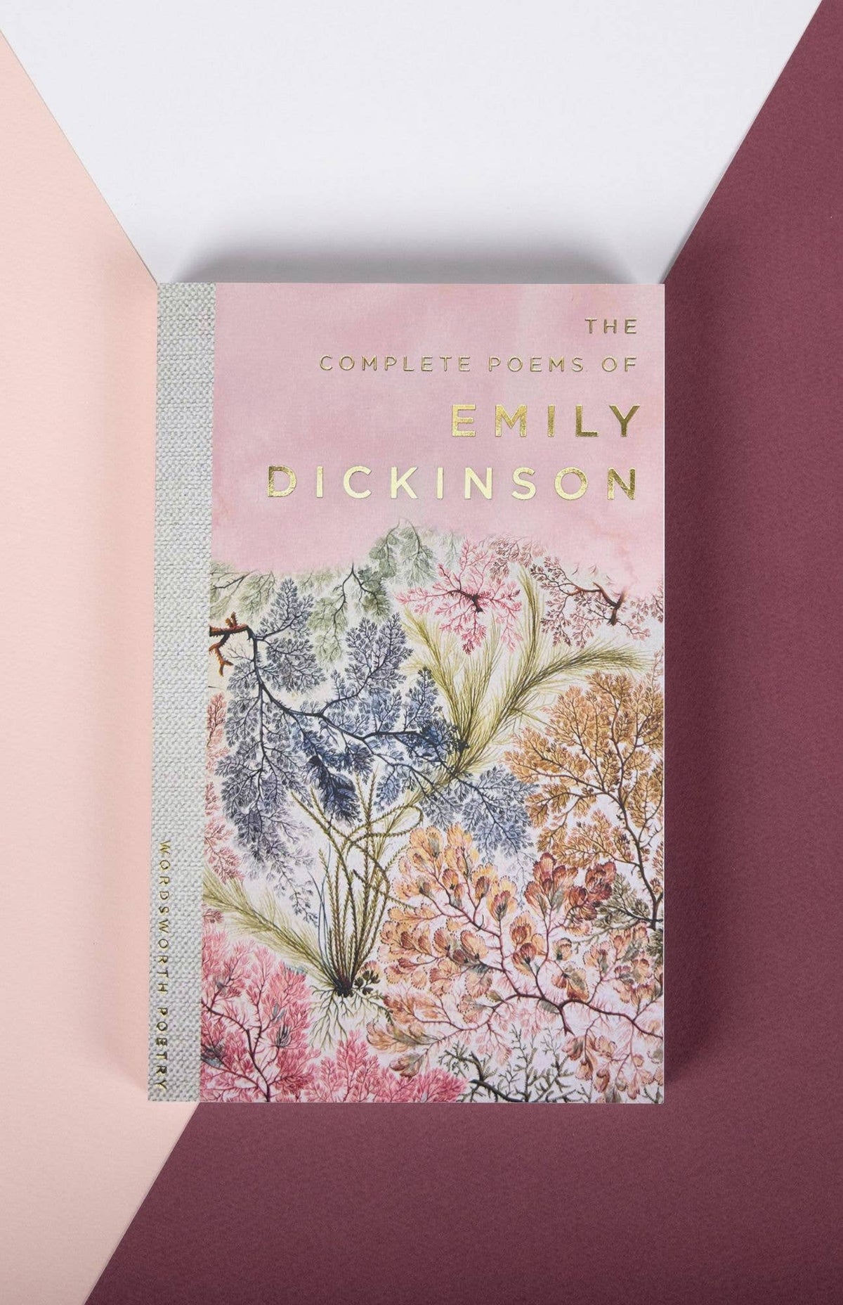 Poems of Emily Dickinson - Wordsworth Poetry Edition