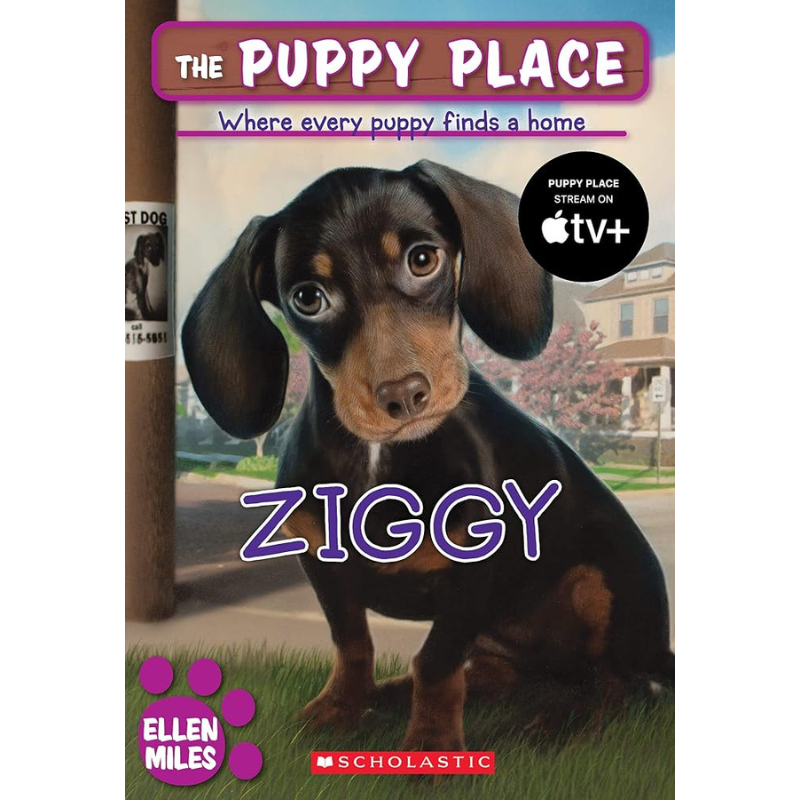 Ziggy (The Puppy Place #21) by Ellen Miles