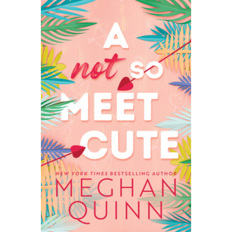 A Not So Meet Cute (Cane Brothers #1) by Meghan Quinn
