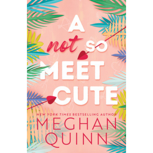 A Not So Meet Cute (Cane Brothers #1) by Meghan Quinn