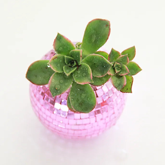 Coffee & Craft - April 23