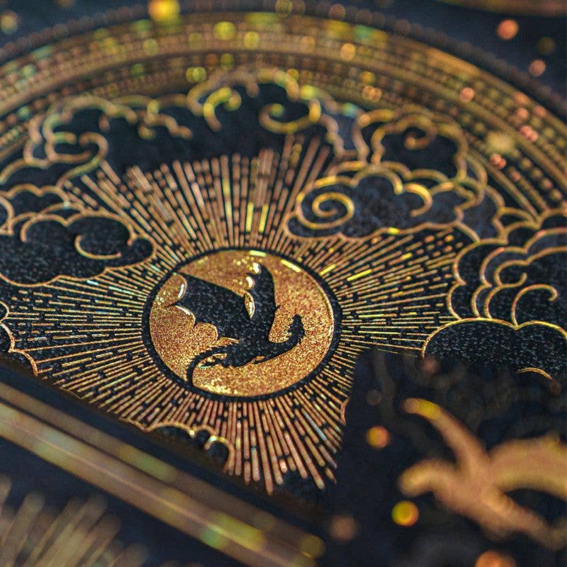 Paperblanks Shadows of Navarre Hardcover Journal (Fourth Wing): Midi / Lined