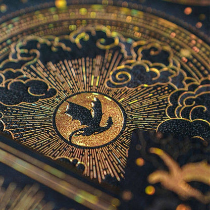Paperblanks Shadows of Navarre Hardcover Journal (Fourth Wing): Midi / Lined
