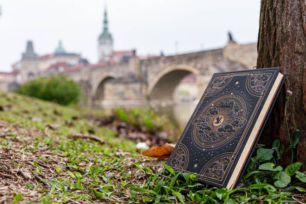 Paperblanks Shadows of Navarre Hardcover Journal (Fourth Wing): Midi / Lined