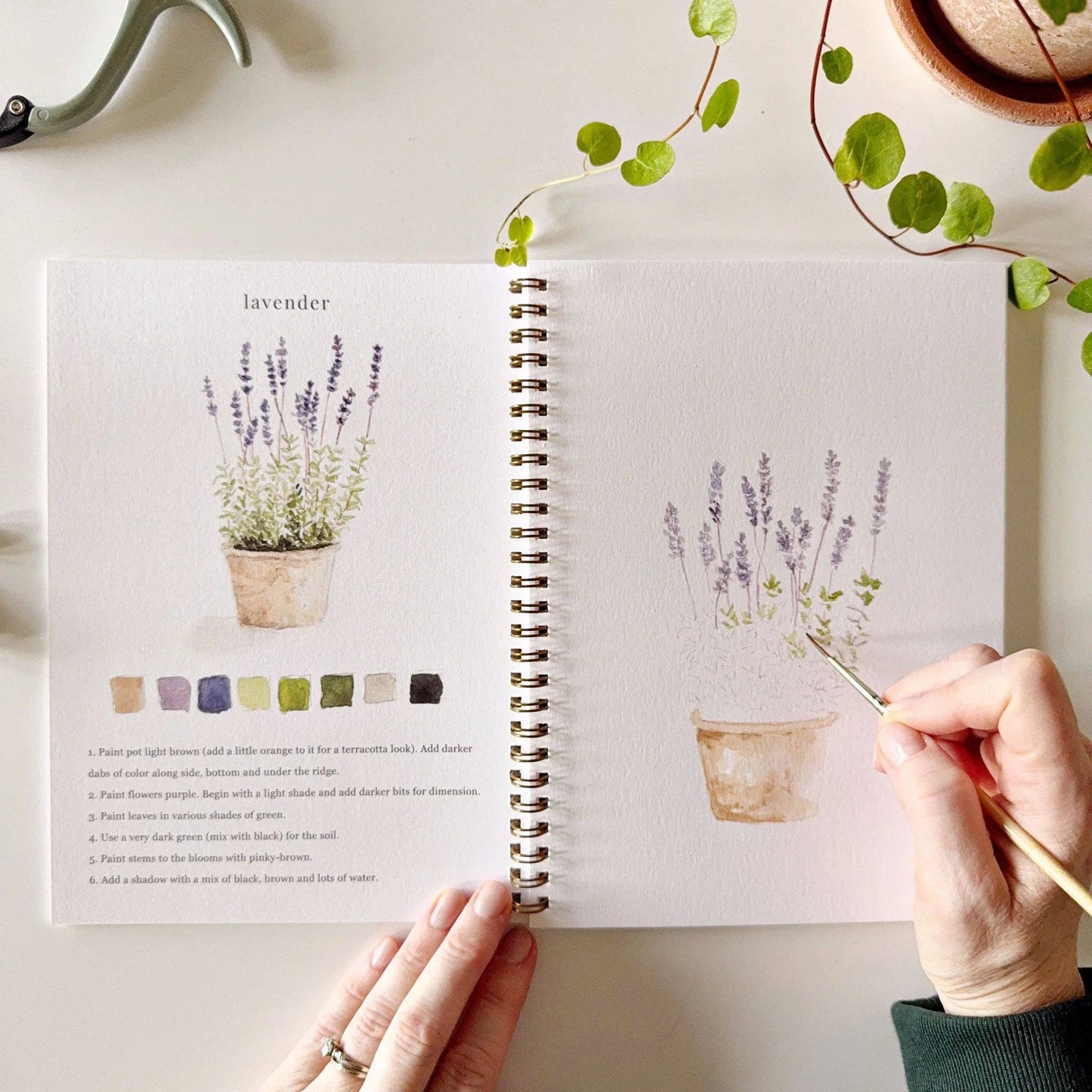Watercolor Workbook - Emily Lex Studios