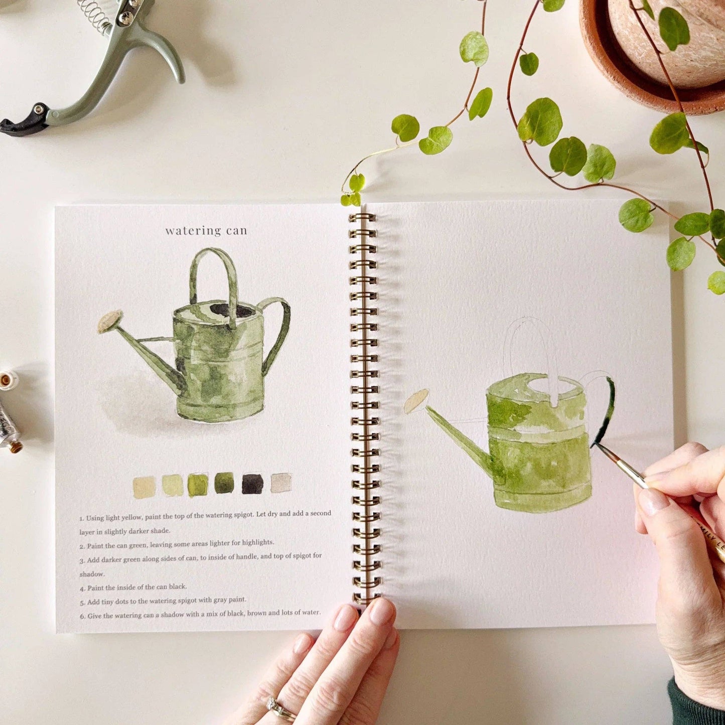 Watercolor Workbook - Emily Lex Studios