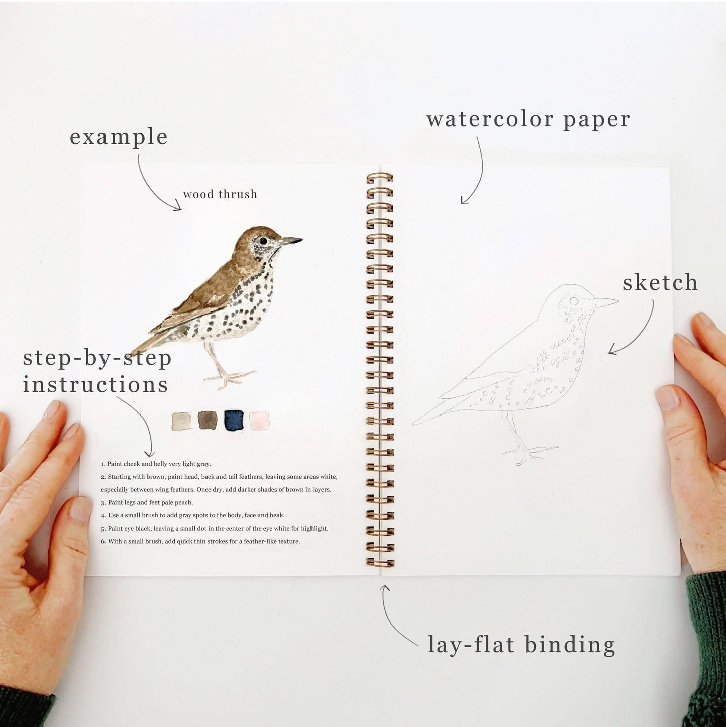 Watercolor Workbook - Emily Lex Studios