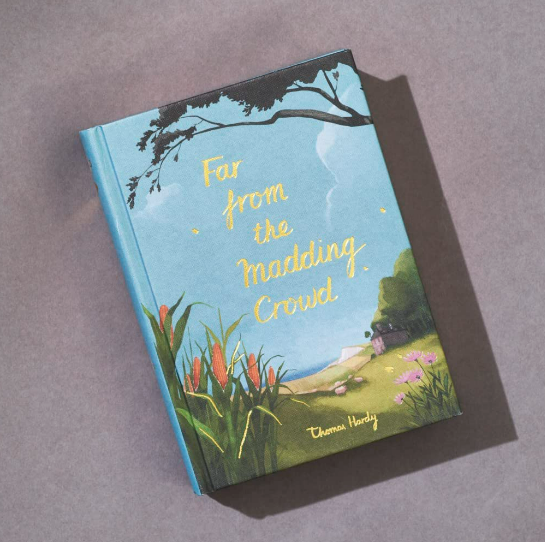 Book titled 'Far from the Madding Crowd' with a scenic cover on a gray background