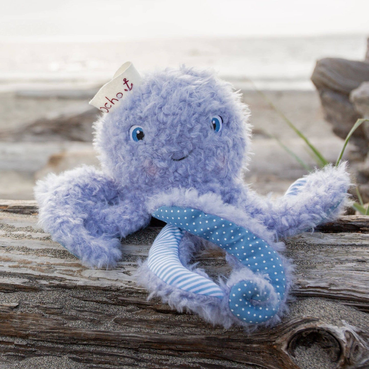 Ocho the Octopus