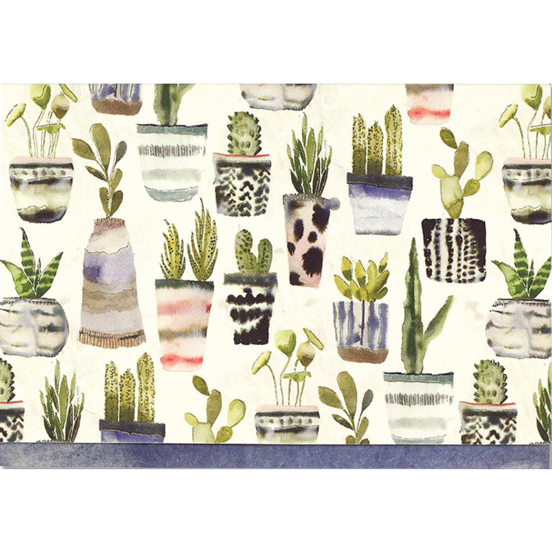 Watercolor Succulents Note Cards