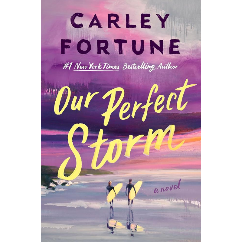 Our Perfect Storm by Carley Fortune
