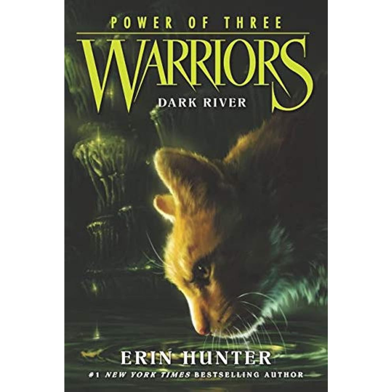 Warriors: Power of Three (#2 - Dark River) by Erin Hunter