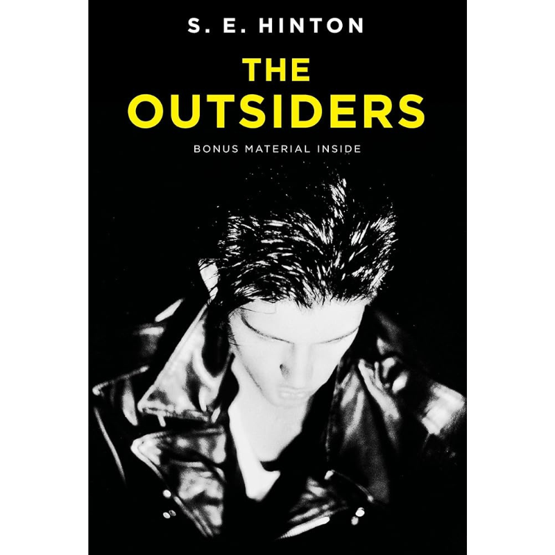 The Outsiders by S.E. Hinton