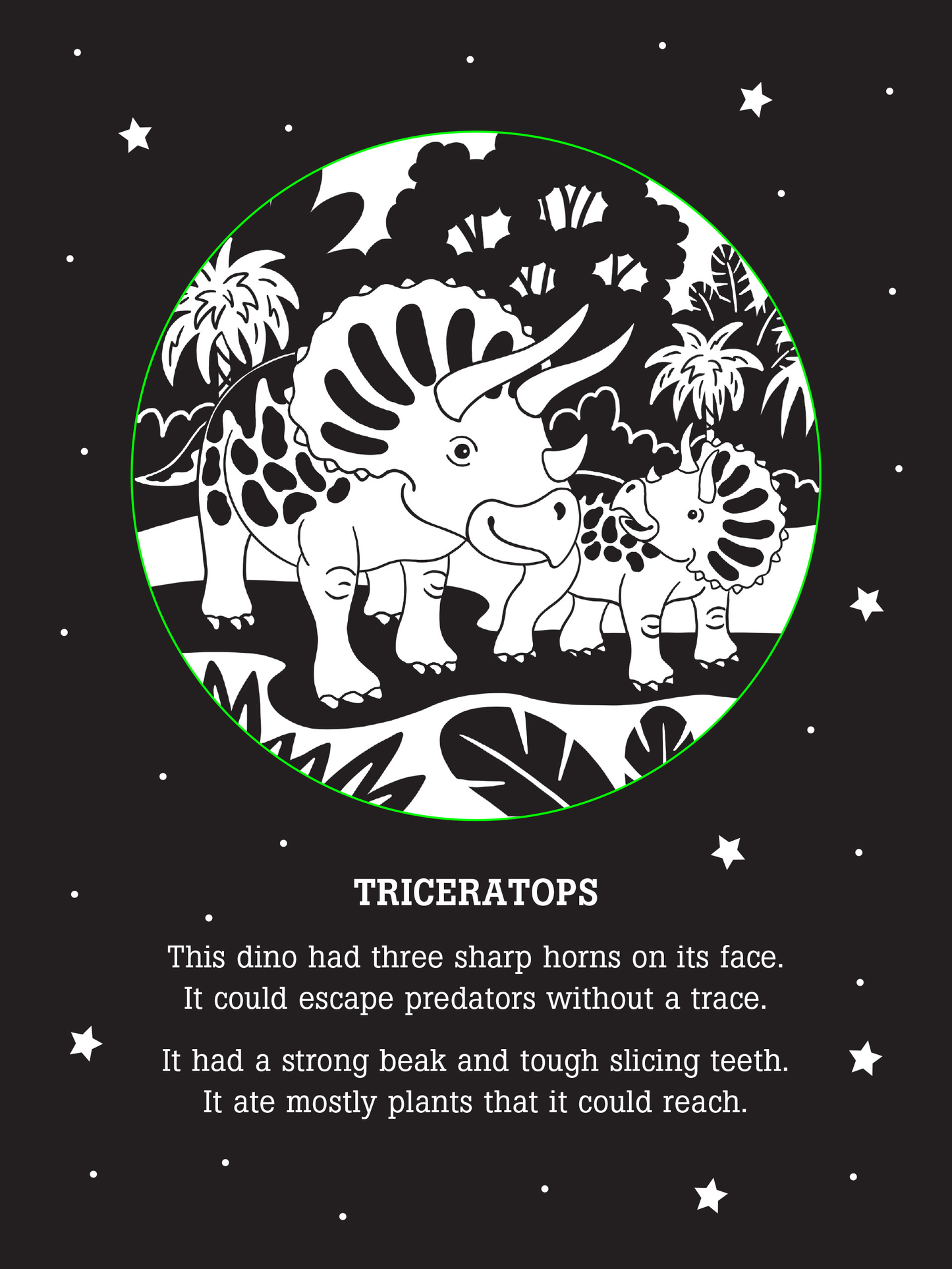 Dinos After Dark